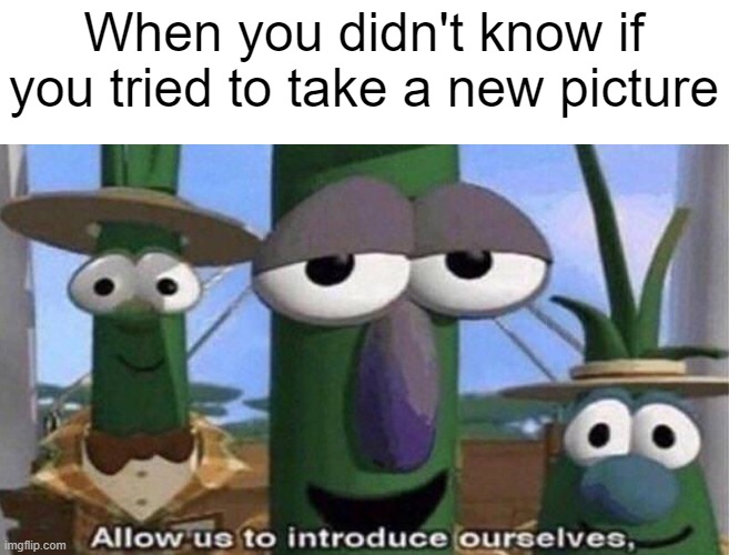 I got it | When you didn't know if you tried to take a new picture | image tagged in veggietales 'allow us to introduce ourselfs',memes | made w/ Imgflip meme maker