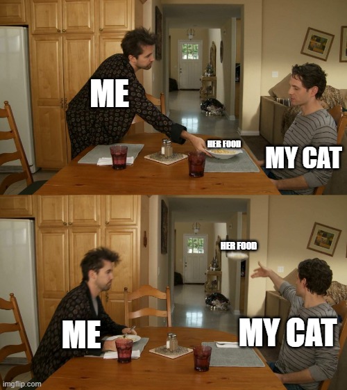 My cat when she gets her food. | ME; MY CAT; HER FOOD; HER FOOD; ME; MY CAT | image tagged in plate toss,cat,funny memes,relatable memes,relatable,cat food | made w/ Imgflip meme maker