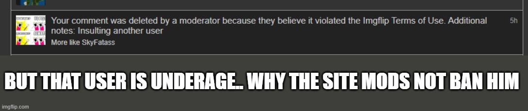 BUT THAT USER IS UNDERAGE.. WHY THE SITE MODS NOT BAN HIM | made w/ Imgflip meme maker