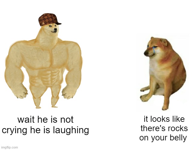 wait a one minute just one second he's not crying | wait he is not crying he is laughing; it looks like there's rocks on your belly | image tagged in memes,buff doge vs cheems | made w/ Imgflip meme maker