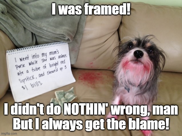 I was framed! I didn't do NOTHIN' wrong, man

But I always get the blame! | made w/ Imgflip meme maker