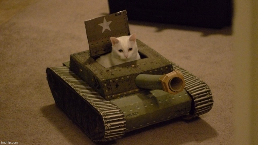 Cat driving a tank | image tagged in cat driving a tank | made w/ Imgflip meme maker