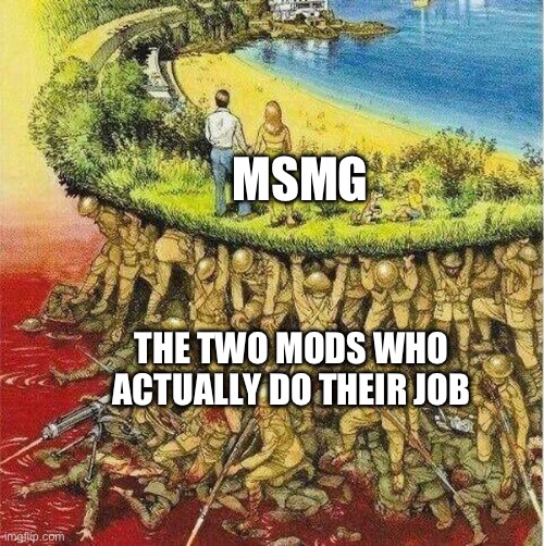 Soldiers hold up society | MSMG; THE TWO MODS WHO ACTUALLY DO THEIR JOB | image tagged in soldiers hold up society | made w/ Imgflip meme maker