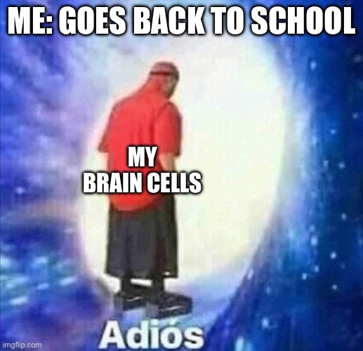 My classmates actively degrade the IQ of everyone involved. | ME: GOES BACK TO SCHOOL; MY BRAIN CELLS | image tagged in adios | made w/ Imgflip meme maker
