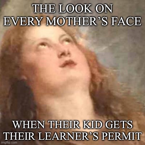 It do be like that | THE LOOK ON EVERY MOTHER’S FACE; WHEN THEIR KID GETS THEIR LEARNER’S PERMIT | image tagged in classic art eyeroll,learn,driving,mother | made w/ Imgflip meme maker