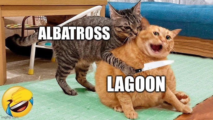 ALBATROSS; LAGOON | image tagged in cats,funny cats,murder,wof | made w/ Imgflip meme maker