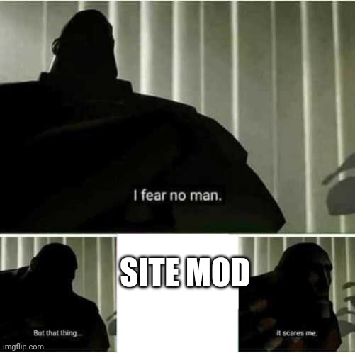 I fear no man | SITE MOD | image tagged in i fear no man | made w/ Imgflip meme maker