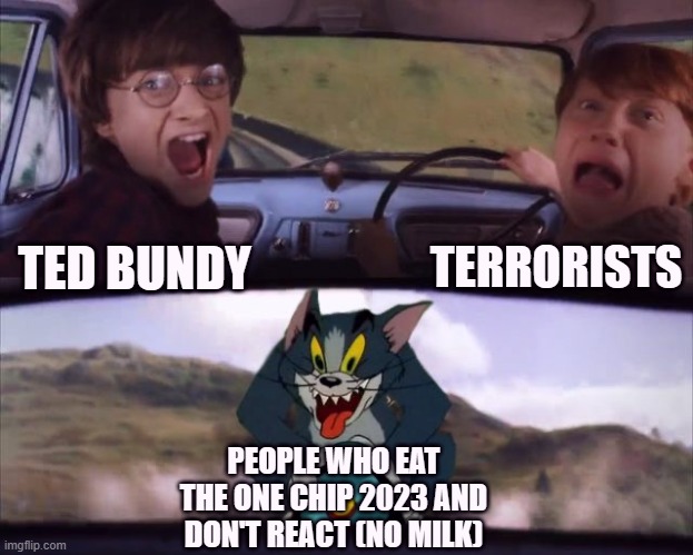 Tom chasing Harry and Ron Weasly | TERRORISTS; TED BUNDY; PEOPLE WHO EAT THE ONE CHIP 2023 AND DON'T REACT (NO MILK) | image tagged in tom chasing harry and ron weasly | made w/ Imgflip meme maker