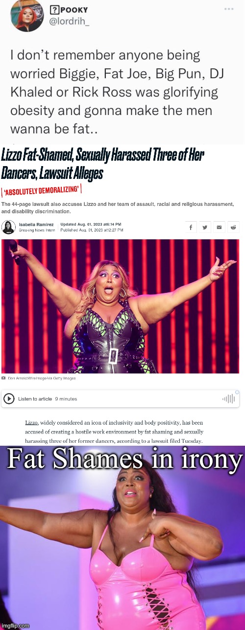 Ironic obesity bashing | Fat Shames in irony | image tagged in lizzo fatshaming,lizzo,obesity | made w/ Imgflip meme maker