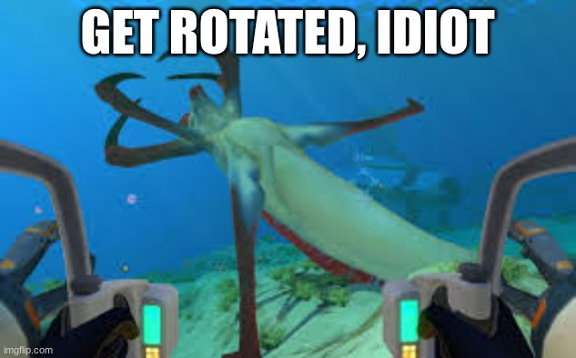 It rotated... | GET ROTATED, IDIOT | image tagged in subnautica | made w/ Imgflip meme maker