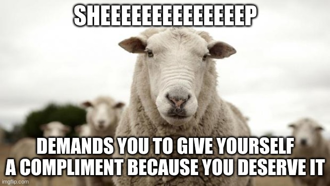 this sheeeeeeep demands you to compliment yourself | SHEEEEEEEEEEEEEEP; DEMANDS YOU TO GIVE YOURSELF A COMPLIMENT BECAUSE YOU DESERVE IT | image tagged in sheep | made w/ Imgflip meme maker