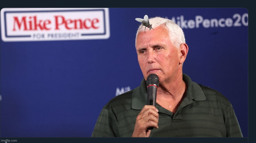 image tagged in mike pence,fly,maga,republicans,donald trump | made w/ Imgflip meme maker