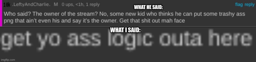 how come lefty and charlies comment doesnt get deleted, but mine does? | WHAT HE SAID:; WHAT I SAID: | image tagged in memes | made w/ Imgflip meme maker