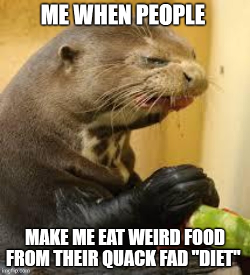 You have no taste | ME WHEN PEOPLE; MAKE ME EAT WEIRD FOOD FROM THEIR QUACK FAD "DIET" | image tagged in disgusted otter,memes,diet,quack,gross,disgusting | made w/ Imgflip meme maker