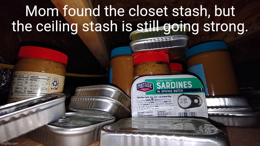Day 147 update | Mom found the closet stash, but the ceiling stash is still going strong. | image tagged in peanut butter,sardines,emergency preparedness | made w/ Imgflip meme maker