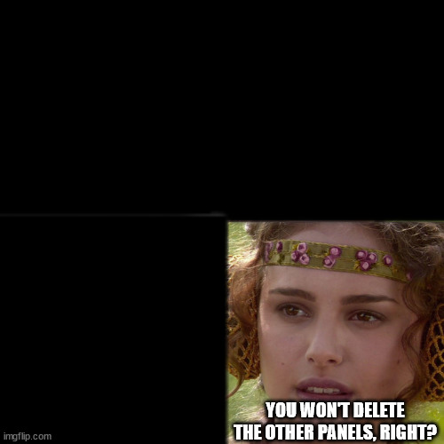YOU WON'T DELETE THE OTHER PANELS, RIGHT? | image tagged in anakin padme 4 panel,lol | made w/ Imgflip meme maker