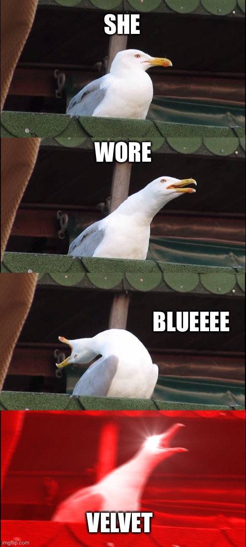 Blue Velvet | SHE; WORE; BLUEEEE; VELVET | image tagged in memes,inhaling seagull | made w/ Imgflip meme maker