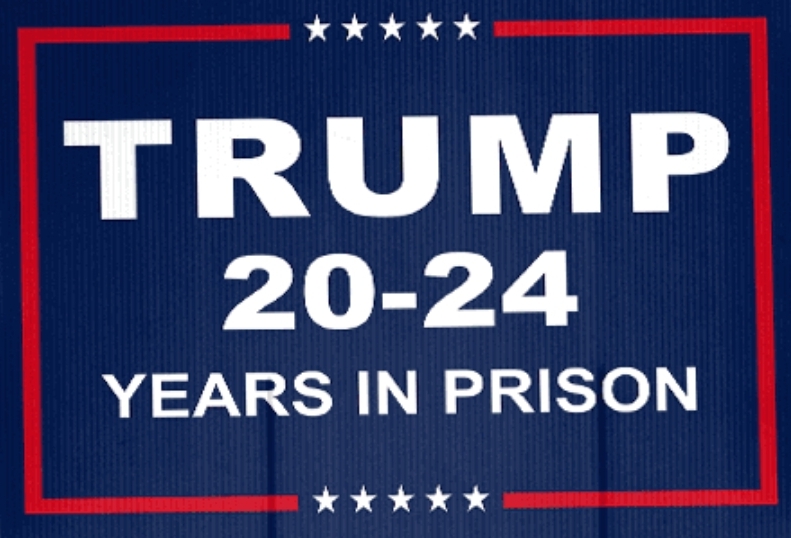 High Quality trump 20-24 years in prison Blank Meme Template