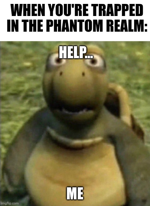 Help... I'm forever trapped in the phantom realm | WHEN YOU'RE TRAPPED IN THE PHANTOM REALM:; HELP... ME | image tagged in shocked turtle | made w/ Imgflip meme maker