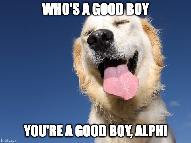 Who's a good boy | WHO'S A GOOD BOY YOU'RE A GOOD BOY, ALPH! | image tagged in who's a good boy | made w/ Imgflip meme maker