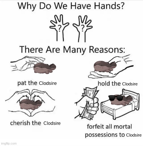 I love clodsire | Clodsire; Clodsire; Clodsire; Clodsire | image tagged in why do we have hands all blank,pokemon | made w/ Imgflip meme maker