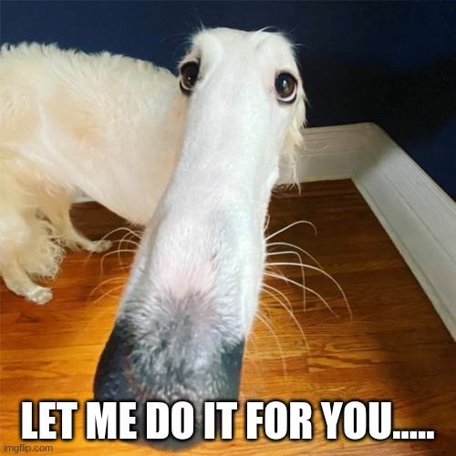 Let me do it for you... | LET ME DO IT FOR YOU..... | image tagged in let me do it for you | made w/ Imgflip meme maker