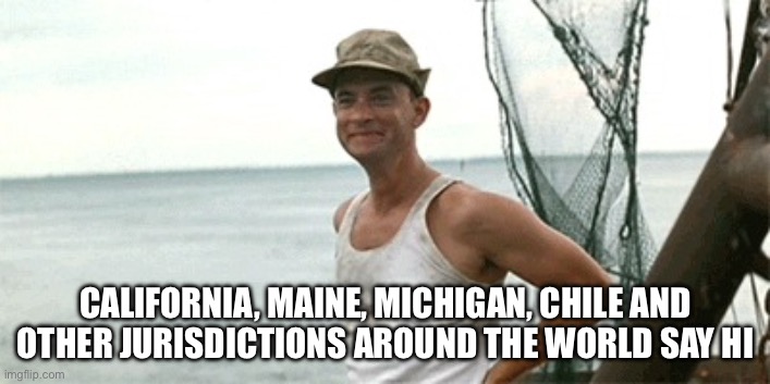 Hello from Forrest gump | CALIFORNIA, MAINE, MICHIGAN, CHILE AND OTHER JURISDICTIONS AROUND THE WORLD SAY HI | image tagged in hello from forrest gump | made w/ Imgflip meme maker