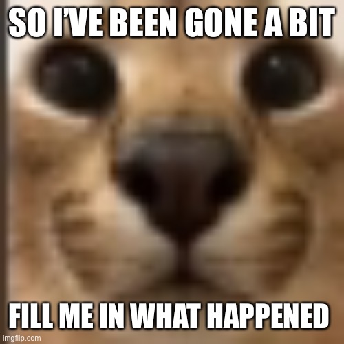 Whar | SO I’VE BEEN GONE A BIT; FILL ME IN WHAT HAPPENED | image tagged in whar | made w/ Imgflip meme maker