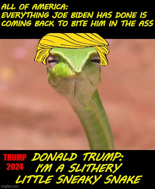 I'm Not Sucking The Poison Out Of That | ALL OF AMERICA:
EVERYTHING JOE BIDEN HAS DONE IS COMING BACK TO BITE HIM IN THE ASS; DONALD TRUMP: I'M A SLITHERY LITTLE SNEAKY SNAKE; TRUMP 2024 | image tagged in skeptical snake,memes,politics,trump | made w/ Imgflip meme maker