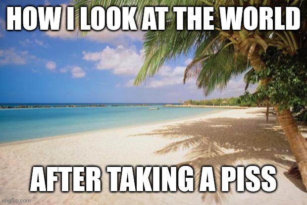 island paradise | HOW I LOOK AT THE WORLD; AFTER TAKING A PISS | image tagged in island paradise | made w/ Imgflip meme maker