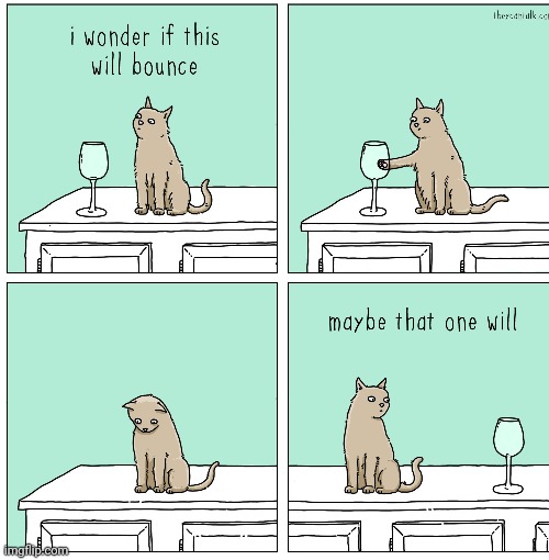 Cats be like | image tagged in white background,cats,comics/cartoons,memes,who_am_i | made w/ Imgflip meme maker