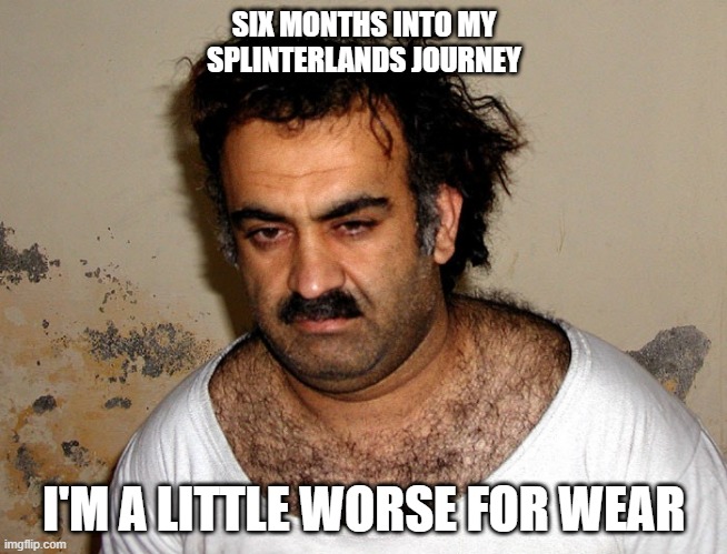 Terrorist | SIX MONTHS INTO MY SPLINTERLANDS JOURNEY; I'M A LITTLE WORSE FOR WEAR | image tagged in terrorist | made w/ Imgflip meme maker