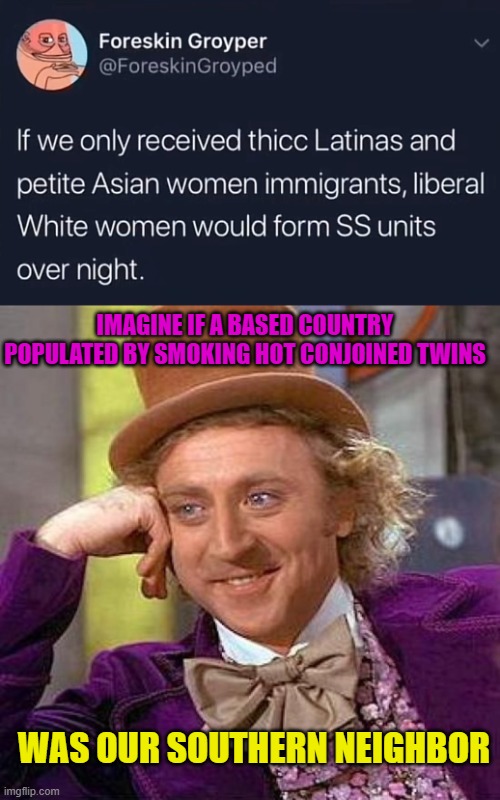 IMAGINE IF A BASED COUNTRY POPULATED BY SMOKING HOT CONJOINED TWINS; WAS OUR SOUTHERN NEIGHBOR | image tagged in memes,creepy condescending wonka,immigration,women,liberal,twins | made w/ Imgflip meme maker