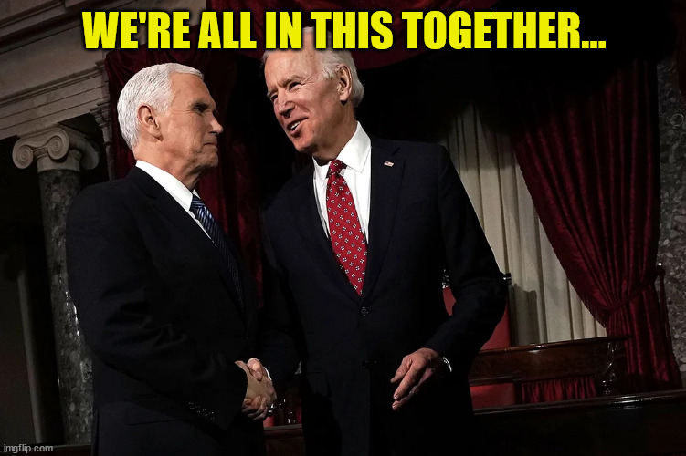 Career politicians = term limits needed | WE'RE ALL IN THIS TOGETHER... | image tagged in career,politicians,suck | made w/ Imgflip meme maker