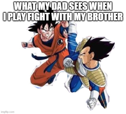 e | WHAT MY DAD SEES WHEN I PLAY FIGHT WITH MY BROTHER | image tagged in goku and vegeta fighting | made w/ Imgflip meme maker