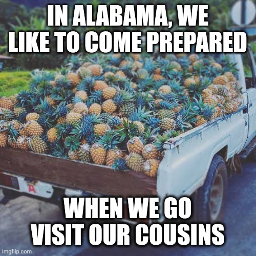 Sweet home Alabama! | IN ALABAMA, WE LIKE TO COME PREPARED; WHEN WE GO VISIT OUR COUSINS | image tagged in alabama,sweet home alabama,funny,savage | made w/ Imgflip meme maker