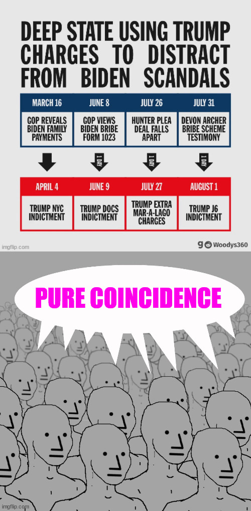Always said libs have no understanding of timelines... | PURE COINCIDENCE | image tagged in npc-crowd,ignorant,liberals,tds | made w/ Imgflip meme maker