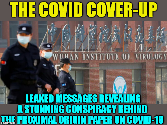 They knew they were covering up the origin of the virus...why? 0bama funded it... | THE COVID COVER-UP; LEAKED MESSAGES REVEALING A STUNNING CONSPIRACY BEHIND THE PROXIMAL ORIGIN PAPER ON COVID-19 | image tagged in covid,truth | made w/ Imgflip meme maker