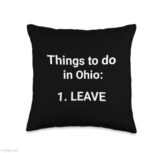 That is some good advice | image tagged in good advice pillow | made w/ Imgflip meme maker