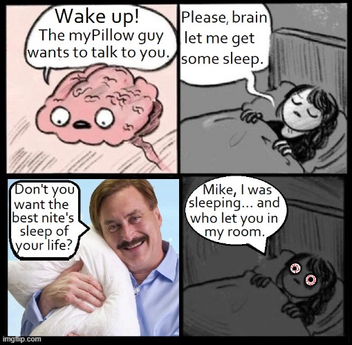 Meanwhile, in Minnesota | image tagged in vince vance,mypillow,memes,brain before sleep,comics/cartoons,mike lindell | made w/ Imgflip meme maker