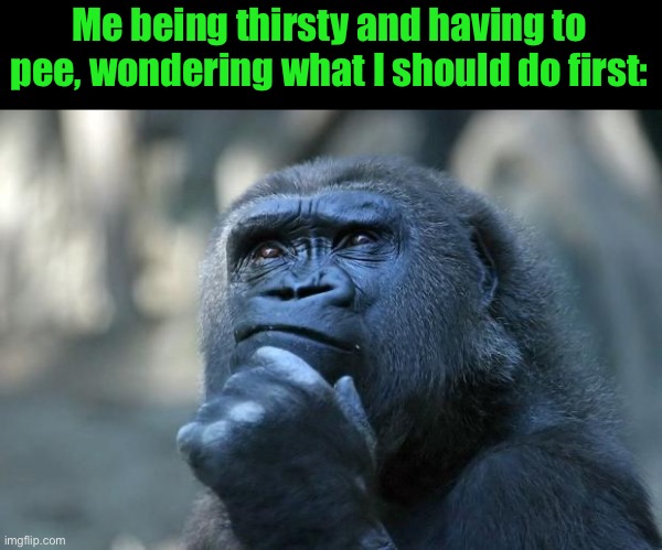 Deep Thoughts | Me being thirsty and having to pee, wondering what I should do first: | image tagged in deep thoughts | made w/ Imgflip meme maker