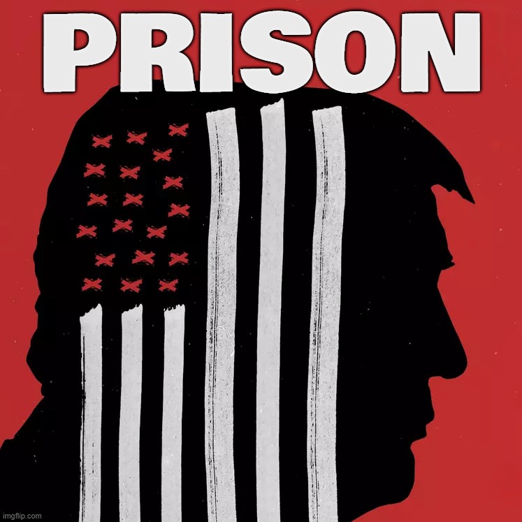 PRISON | image tagged in prison bars,trump | made w/ Imgflip meme maker