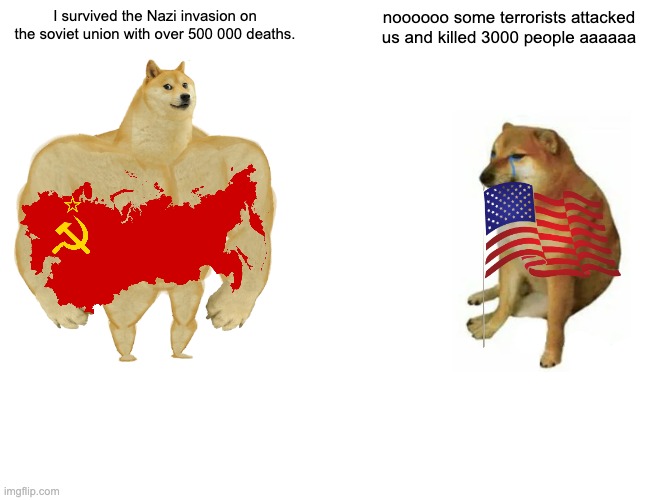 Very biased but honestly a bit true. | I survived the Nazi invasion on the soviet union with over 500 000 deaths. noooooo some terrorists attacked us and killed 3000 people aaaaaa | image tagged in memes,buff doge vs cheems | made w/ Imgflip meme maker