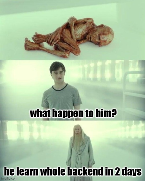 Dead Baby Voldemort / What Happened To Him | what happen to him? he learn whole backend in 2 days | image tagged in dead baby voldemort / what happened to him | made w/ Imgflip meme maker