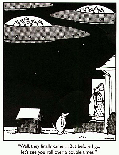 A dog's day has arrived. | image tagged in memes,comics,dogs,ufo | made w/ Imgflip meme maker