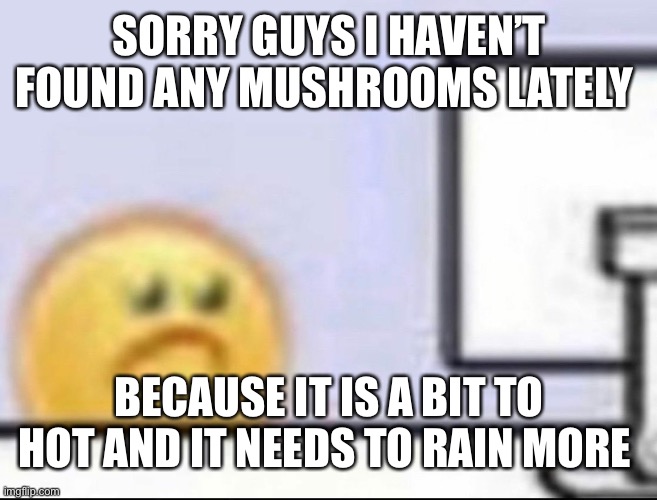 Zad | SORRY GUYS I HAVEN’T FOUND ANY MUSHROOMS LATELY; BECAUSE IT IS A BIT TO HOT AND IT NEEDS TO RAIN MORE | image tagged in zad | made w/ Imgflip meme maker