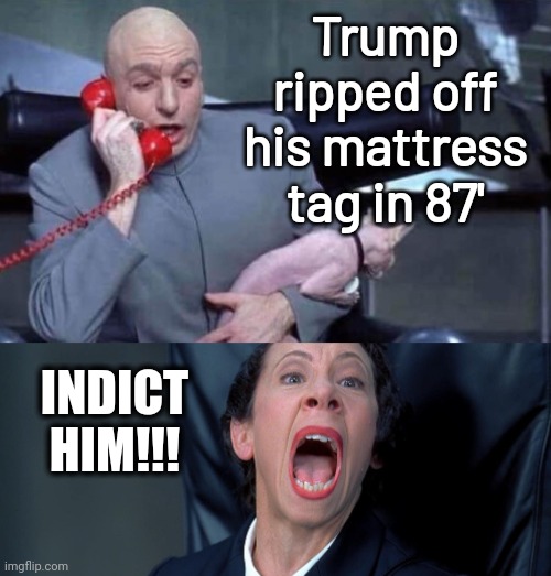 Ar this point they would indict him for literally nothing. | Trump ripped off his mattress tag in 87'; INDICT HIM!!! | image tagged in dr evil and frau | made w/ Imgflip meme maker