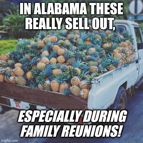 Sweet and salty Alabama | IN ALABAMA THESE REALLY SELL OUT, ESPECIALLY DURING FAMILY REUNIONS! | image tagged in meme,sweet home alabama,alabama,innuendo | made w/ Imgflip meme maker