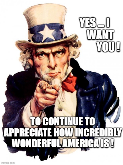 America Wonderful | YES ... I     
WANT   
  YOU ! TO CONTINUE TO APPRECIATE HOW INCREDIBLY WONDERFUL AMERICA IS ! | image tagged in uncle sam | made w/ Imgflip meme maker