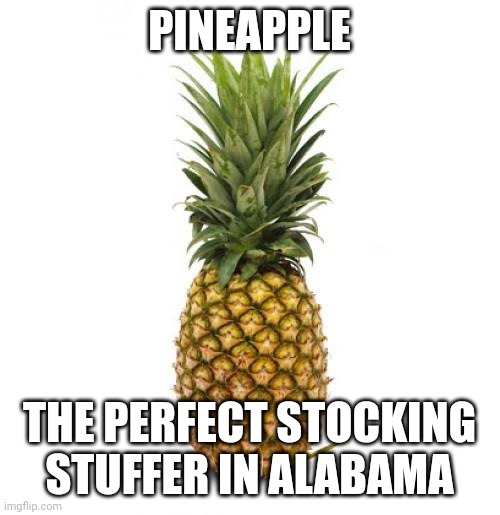 It makes the eggnogg taste better | PINEAPPLE; THE PERFECT STOCKING STUFFER IN ALABAMA | image tagged in memes,innuendo,savage | made w/ Imgflip meme maker
